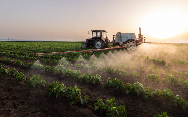 Best Pest Inspection Near Me  in Fulda, MN