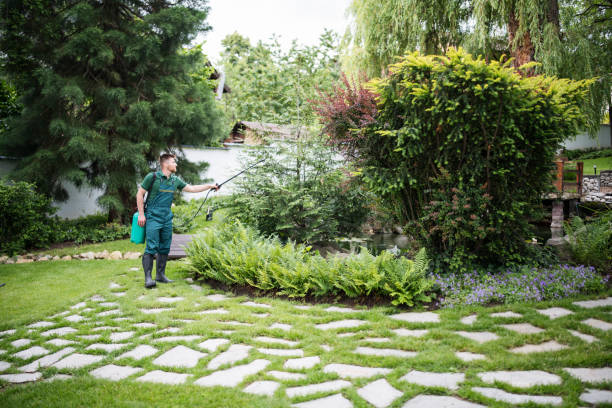 Best Commercial Pest Control Services  in Fulda, MN