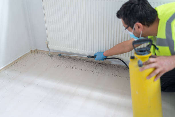 Best Pest Removal Services  in Fulda, MN